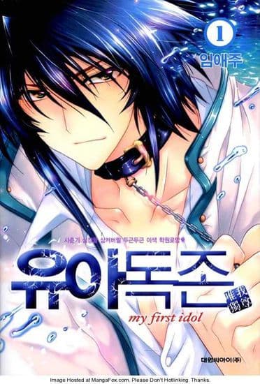 Мой первый идол