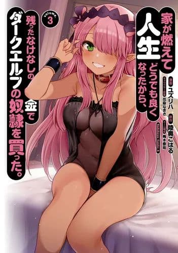 У меня сгорел дом, и чтобы подсластить жизнь, на оставшиеся деньги я купил рабыню-темного эльфа