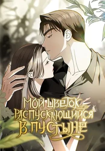 Мой цветок, распускающийся в пустыне